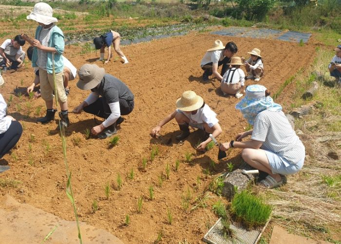 김포시, 방방곡곡 체험 하반기 참여자 모집