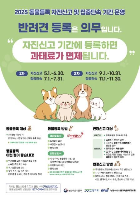 동물등록 2차 자진신고 운영