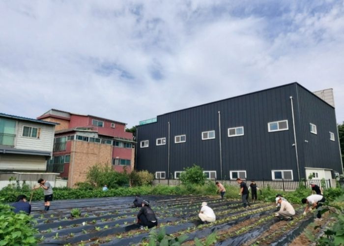 고양시 덕이동 체육회,‘배추·무 심기 봉사’로 이웃 사랑 실천