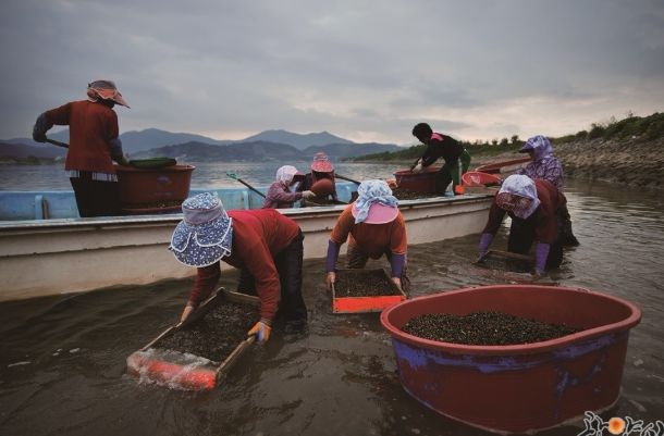 광양시, 세계중요농업유산 등재‧