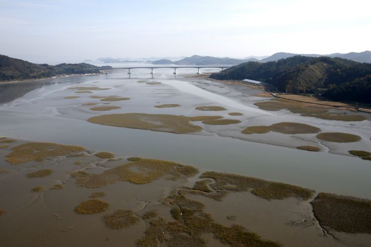 보성군, ‘여자만 국가해양생태공원’ 예비타당성 조사 대상사업 선정_여자만 습지