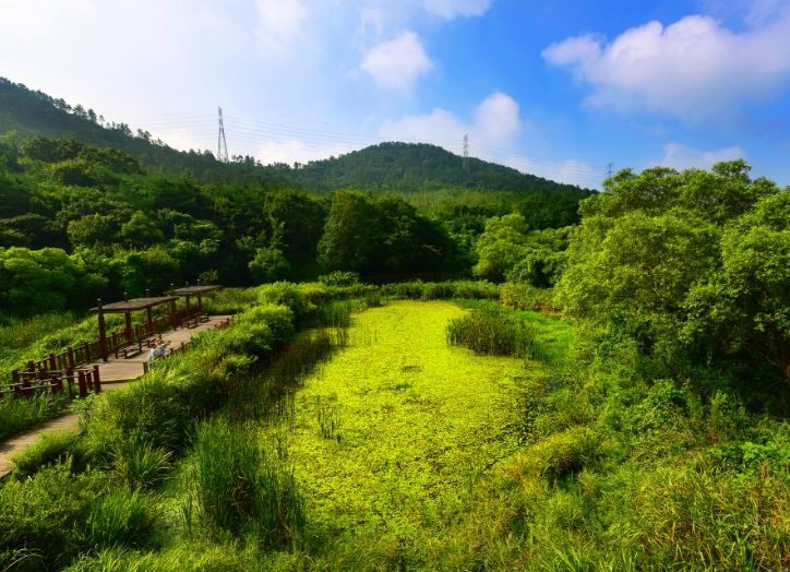 심덕섭 고창군수, 제4회 람사르습지도시 시장단 회의 참석