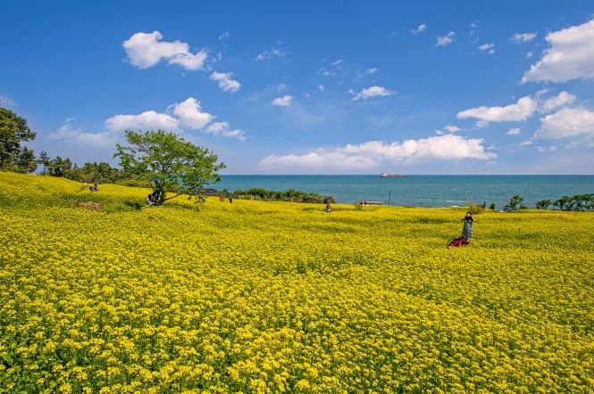 대왕암공원 해안둘레길