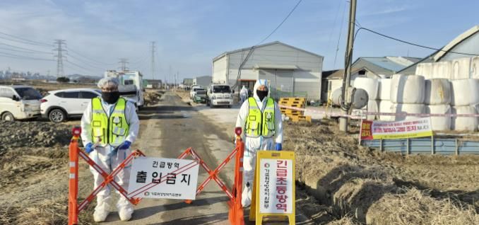 구제역 발생 농가 현장