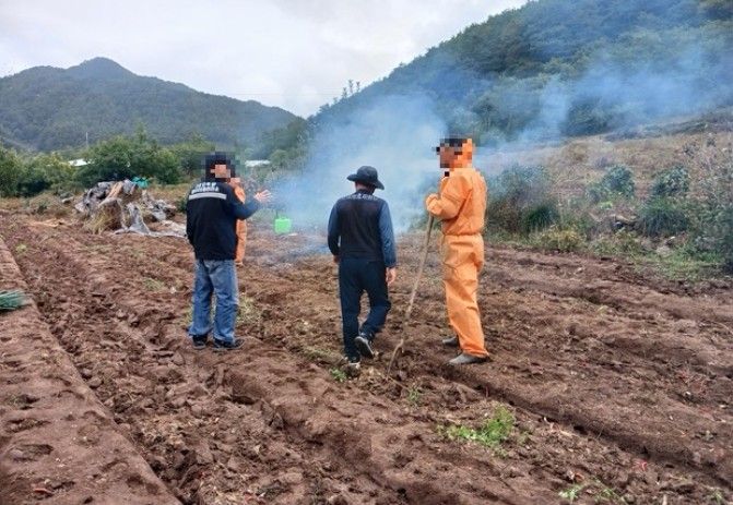 봄철 산림 내 불법행위 집중단속