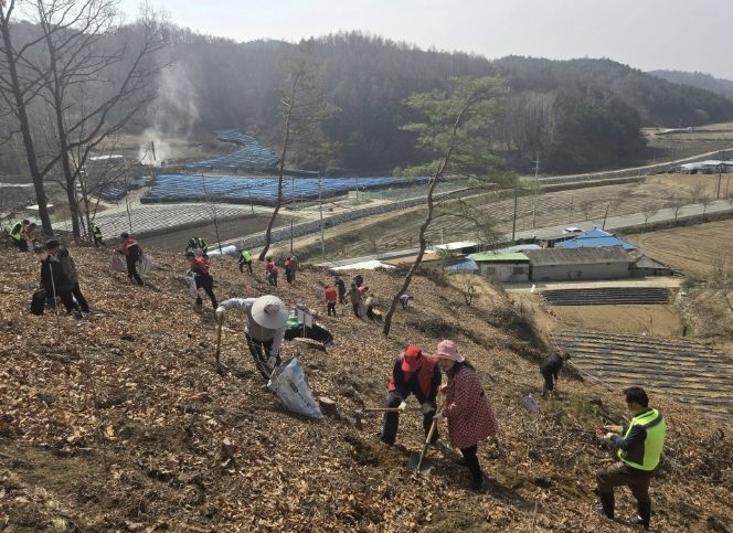 봉화군, 제81회 식목일 나무심기행사 개최