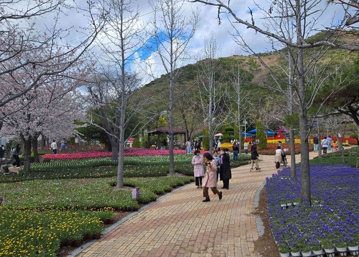 독봉산웰빙공원, 수만 송이 봄꽃전시 한창