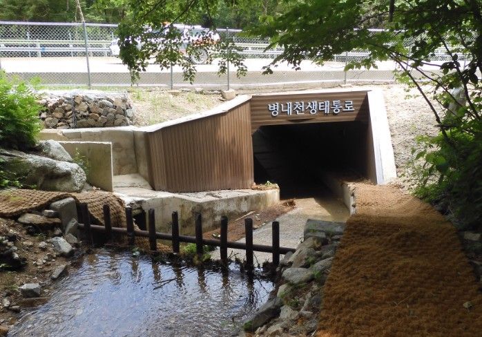 오대산 병내천 생태통로
