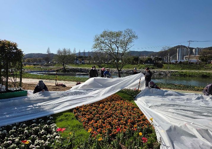 축제 대비 현장 관리 모습