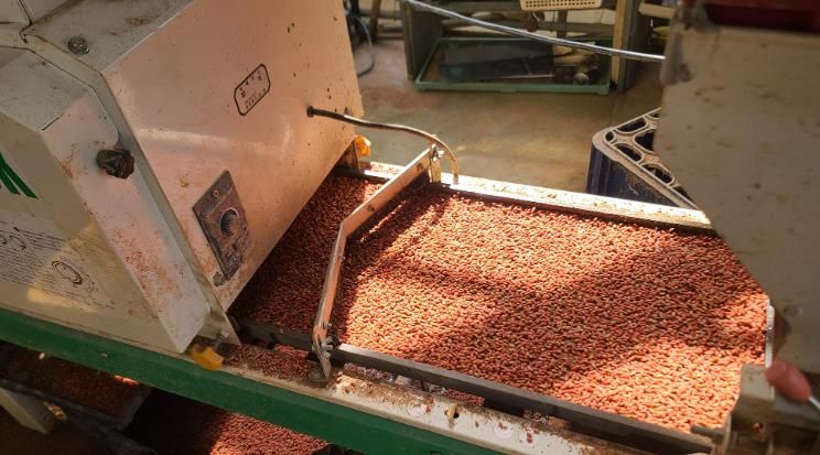 서산시, 벼 종자소독·못자리 현장 중점지도반 운영