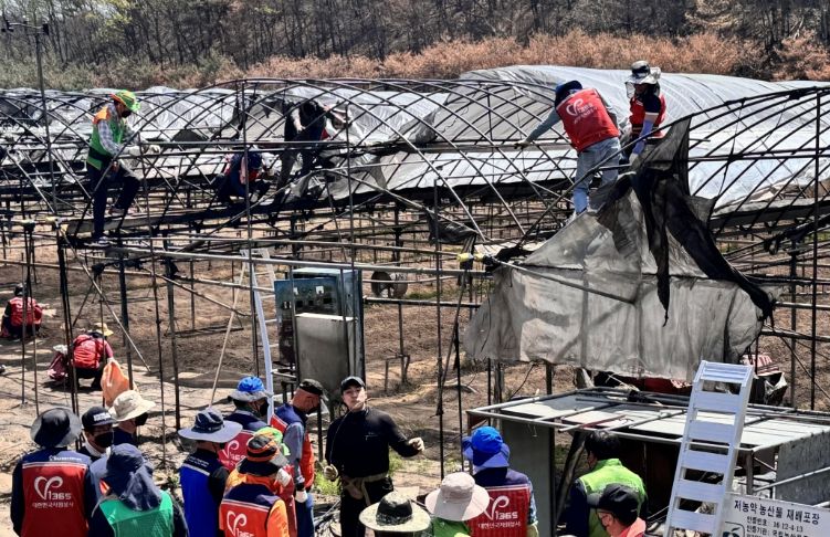 산불 피해 현장 복구
